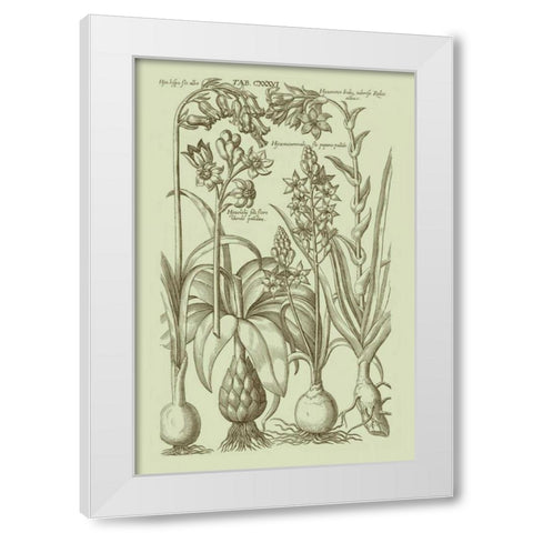 Garden of Flora I White Modern Wood Framed Art Print by Vision Studio