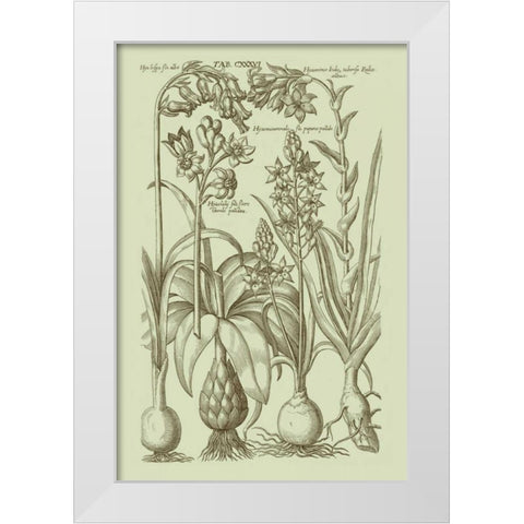 Garden of Flora I White Modern Wood Framed Art Print by Vision Studio