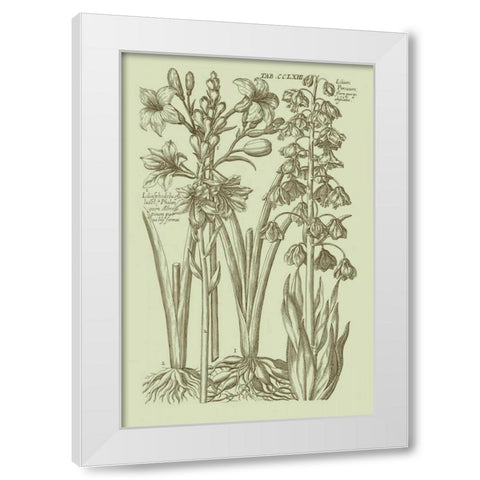 Garden of Flora II White Modern Wood Framed Art Print by Vision Studio