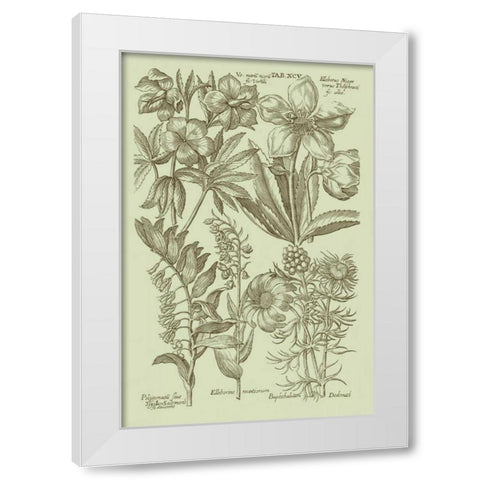 Garden of Flora III White Modern Wood Framed Art Print by Vision Studio