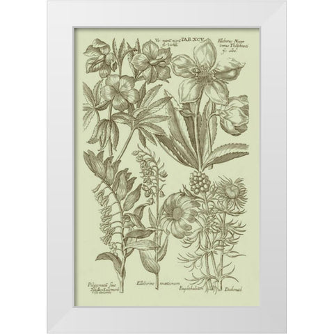 Garden of Flora III White Modern Wood Framed Art Print by Vision Studio