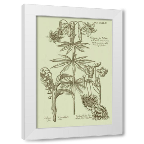 Garden of Flora IV White Modern Wood Framed Art Print by Vision Studio
