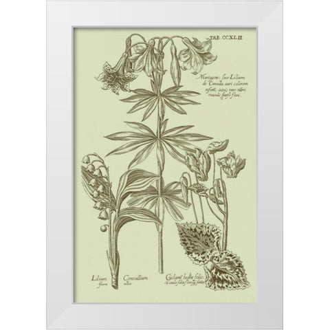 Garden of Flora IV White Modern Wood Framed Art Print by Vision Studio