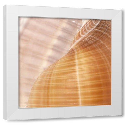 Organic Elements III White Modern Wood Framed Art Print by Vision Studio