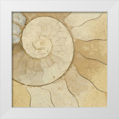 Organic Elements V White Modern Wood Framed Art Print by Vision Studio
