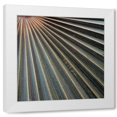 Organic Elements VI White Modern Wood Framed Art Print by Vision Studio