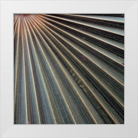 Organic Elements VI White Modern Wood Framed Art Print by Vision Studio