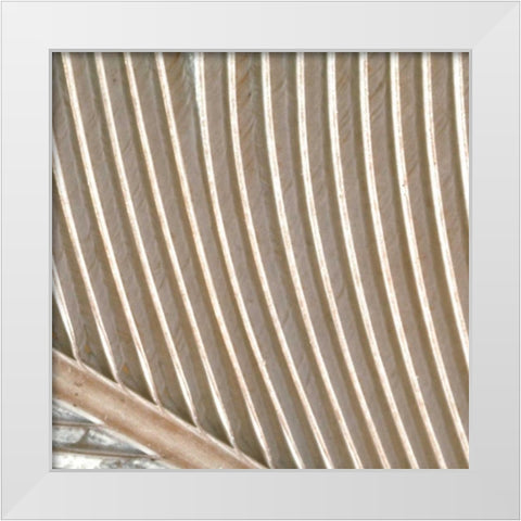Organic Elements VIII White Modern Wood Framed Art Print by Vision Studio