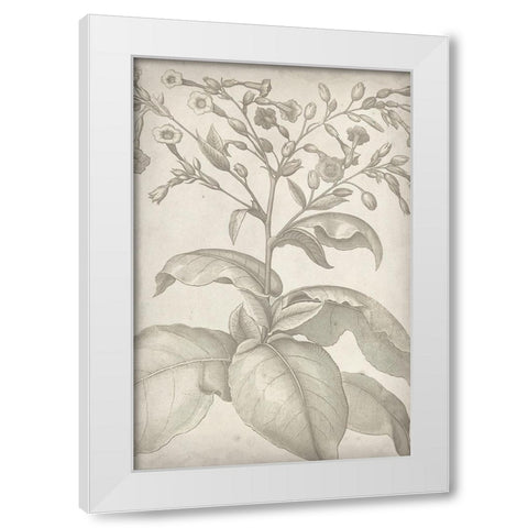 Classic Romance I White Modern Wood Framed Art Print by Vision Studio
