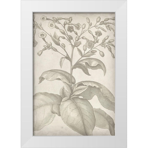 Classic Romance I White Modern Wood Framed Art Print by Vision Studio