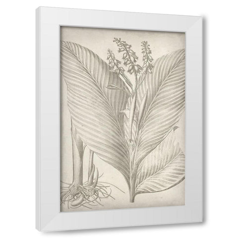 Classic Romance II White Modern Wood Framed Art Print by Vision Studio