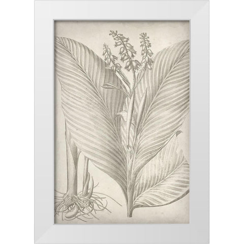 Classic Romance II White Modern Wood Framed Art Print by Vision Studio