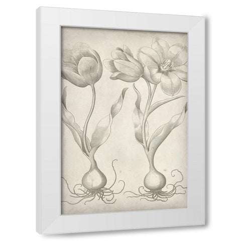 Classic Romance III White Modern Wood Framed Art Print by Vision Studio