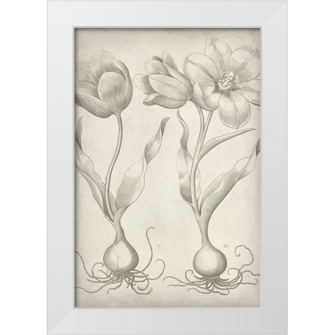 Classic Romance III White Modern Wood Framed Art Print by Vision Studio