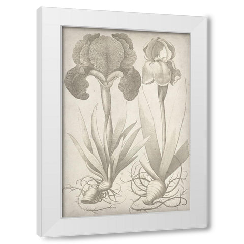 Classic Romance IV White Modern Wood Framed Art Print by Vision Studio