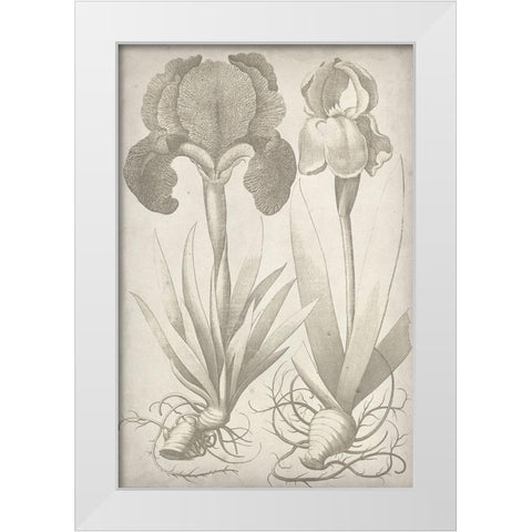 Classic Romance IV White Modern Wood Framed Art Print by Vision Studio