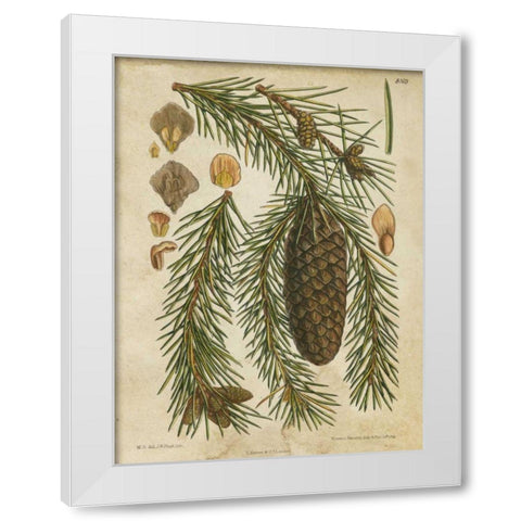 Vintage Conifers I White Modern Wood Framed Art Print by Vision Studio