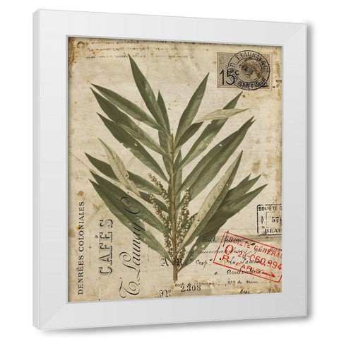 Vintage Natures Greenery I White Modern Wood Framed Art Print by Vision Studio