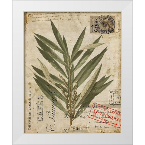 Vintage Natures Greenery I White Modern Wood Framed Art Print by Vision Studio