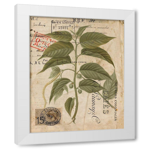 Vintage Natures Greenery II White Modern Wood Framed Art Print by Vision Studio