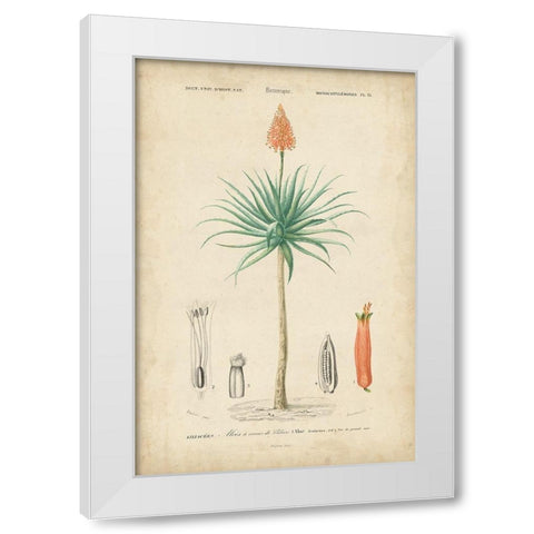 Tropical Botanique II White Modern Wood Framed Art Print by Vision Studio