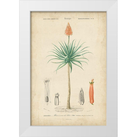 Tropical Botanique II White Modern Wood Framed Art Print by Vision Studio