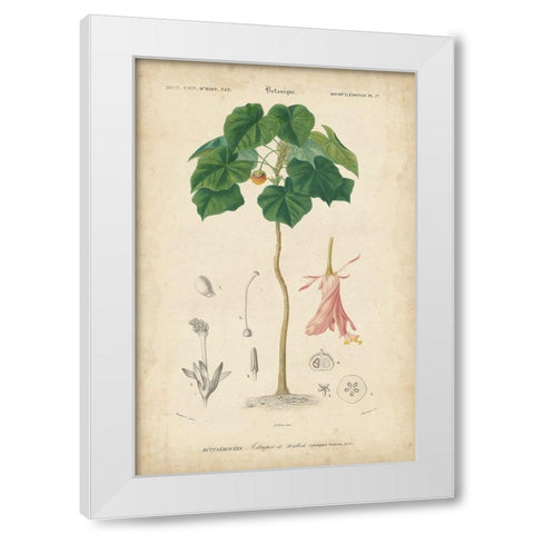 Tropical Botanique V White Modern Wood Framed Art Print by Vision Studio