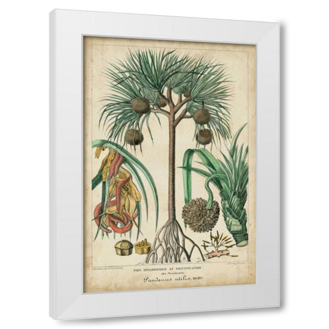 Palma Exotica I White Modern Wood Framed Art Print by Vision Studio