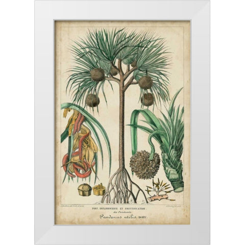 Palma Exotica I White Modern Wood Framed Art Print by Vision Studio