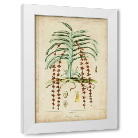Palma Exotica IV White Modern Wood Framed Art Print by Vision Studio