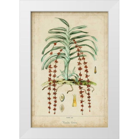 Palma Exotica IV White Modern Wood Framed Art Print by Vision Studio