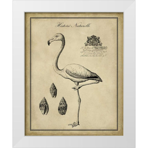Antiquarian Flamingo White Modern Wood Framed Art Print by Vision Studio