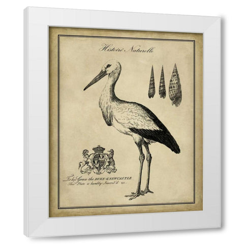 Antiquarian Stork White Modern Wood Framed Art Print by Vision Studio