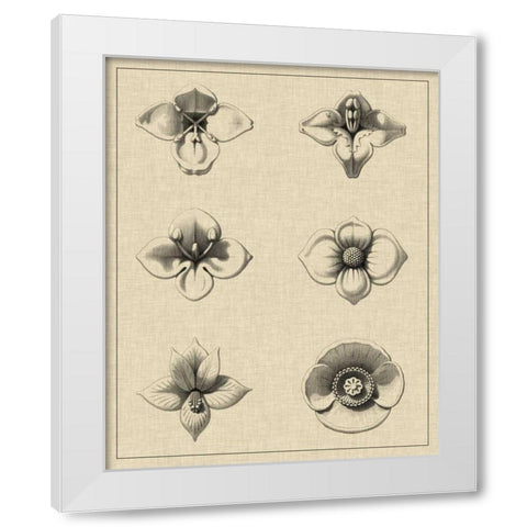 Floral Rosette IV White Modern Wood Framed Art Print by Vision Studio