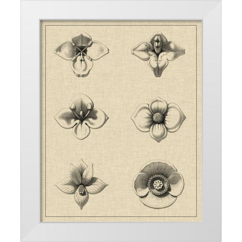 Floral Rosette IV White Modern Wood Framed Art Print by Vision Studio