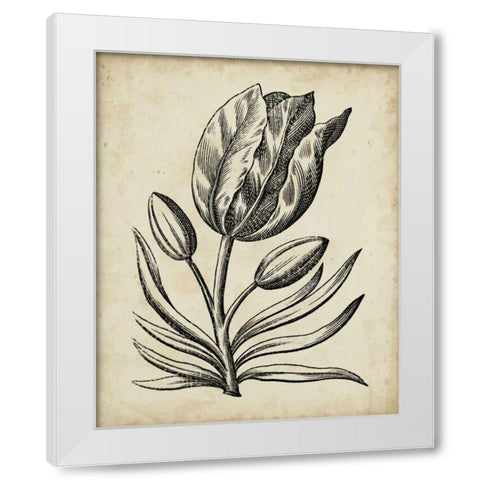 Distinguished Floral I White Modern Wood Framed Art Print by Vision Studio