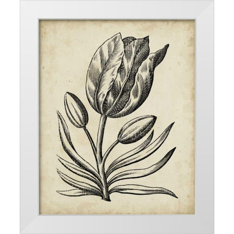 Distinguished Floral I White Modern Wood Framed Art Print by Vision Studio