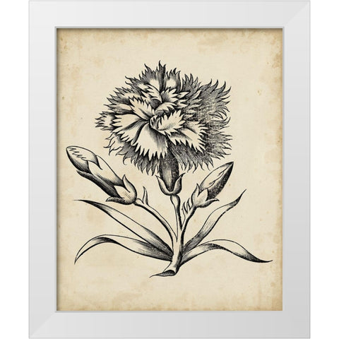 Distinguished Floral III White Modern Wood Framed Art Print by Vision Studio