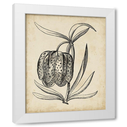 Distinguished Floral IV White Modern Wood Framed Art Print by Vision Studio