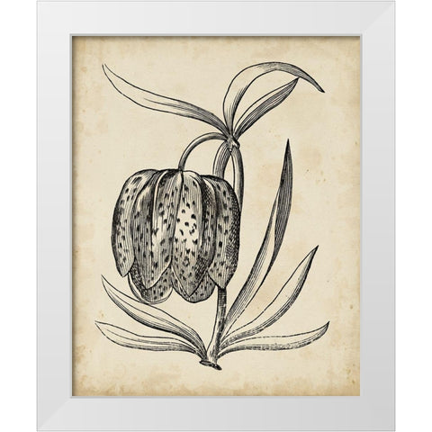 Distinguished Floral IV White Modern Wood Framed Art Print by Vision Studio