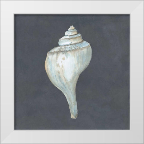 Shell on Slate IV White Modern Wood Framed Art Print by Meagher, Megan