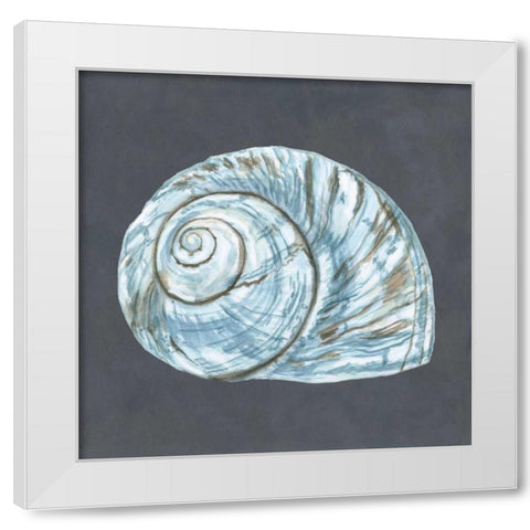 Shell on Slate VIII White Modern Wood Framed Art Print by Meagher, Megan