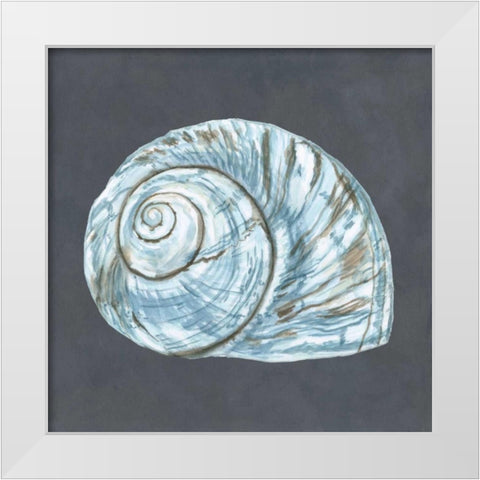 Shell on Slate VIII White Modern Wood Framed Art Print by Meagher, Megan