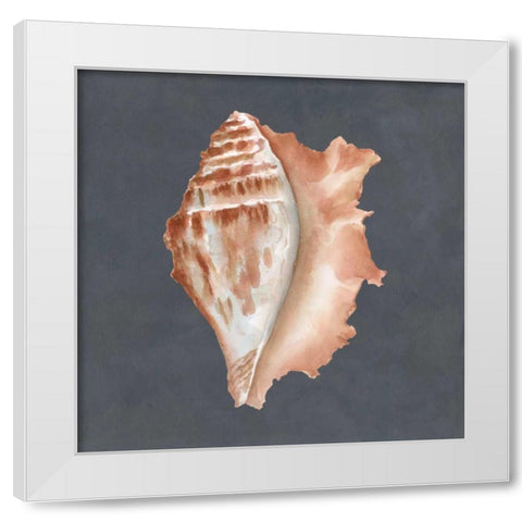 Shell on Slate IX White Modern Wood Framed Art Print by Meagher, Megan