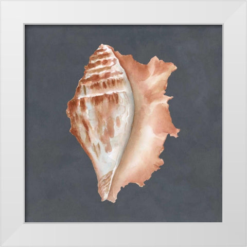 Shell on Slate IX White Modern Wood Framed Art Print by Meagher, Megan