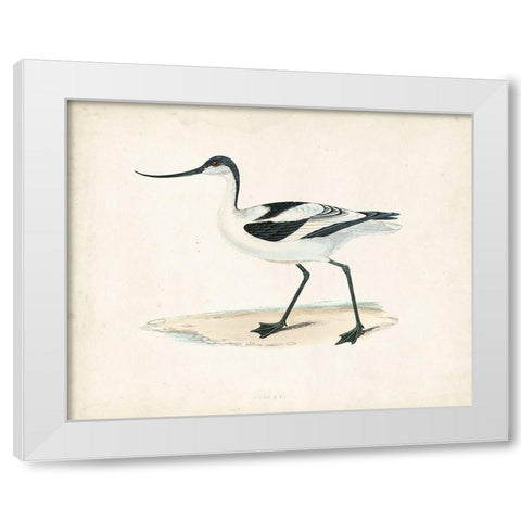 Morris Sandpiper IV White Modern Wood Framed Art Print by Morris