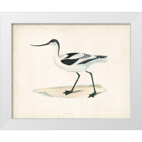 Morris Sandpiper IV White Modern Wood Framed Art Print by Morris