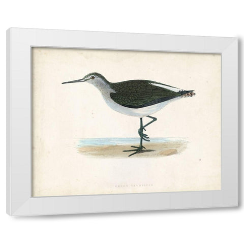 Morris Sandpiper VI White Modern Wood Framed Art Print by Morris