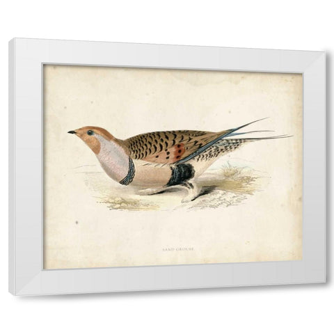 Morris Pheasants V White Modern Wood Framed Art Print by Morris