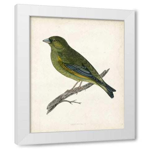 Morris Greenfinch White Modern Wood Framed Art Print by Morris